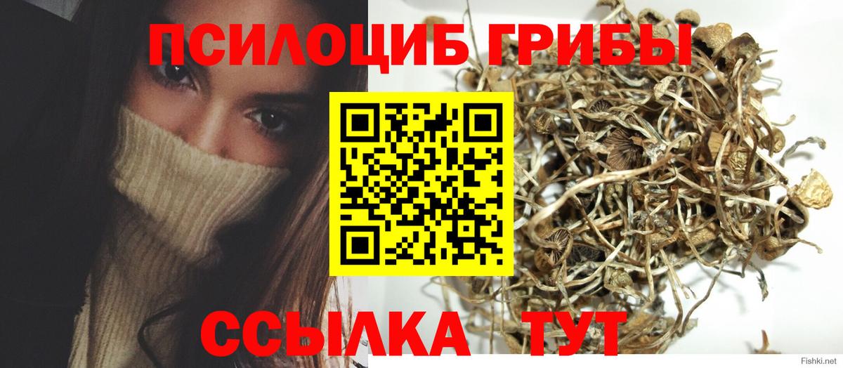Волхов  Псилоцибиновые грибы мухоморы  как найти закладки  Псилоцибиновые грибы Magic Shrooms  Вход с VPN 