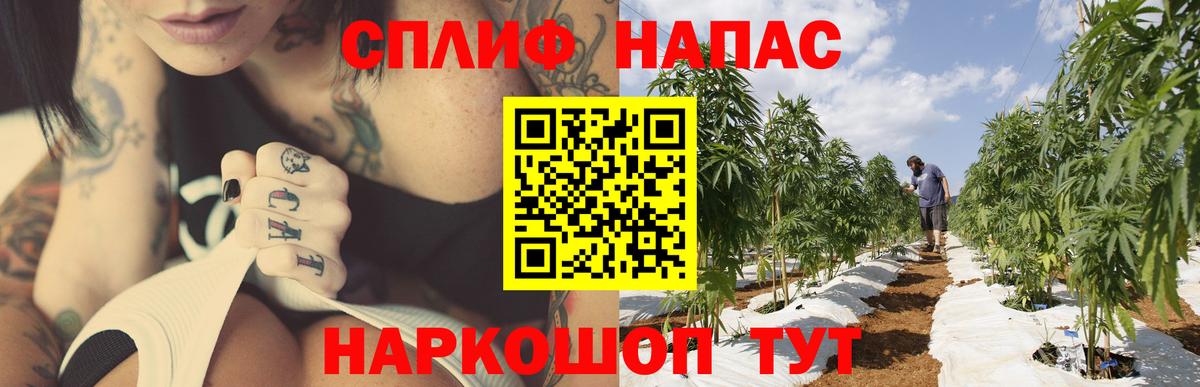 Бошки марихуана SATIVA & INDICA  Шишки марихуана индика  Волхов  Вход с VPN  Бошки Шишки Amnesia 